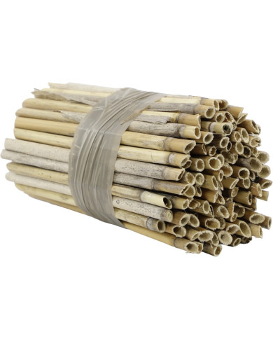 Rurki trzcinowe do hodowli murarek, dł. 20 cm